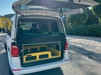 Second-hand VW T6 150 CP (110 kW) 2017 Alb Van