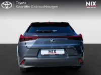 Gebraucht Lexus UX 250h Luxury Line 184 PS (135 kW) 2023 Grau SUV