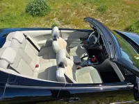 Gebraucht Saab 9-3 Cabriolet Vector 150 PS (110 kW) 2009 Schwarz Cabrio