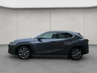 Gebraucht Lexus UX 250h Sport Design Packet 189 PS (139 kW) 2023 Grau SUV