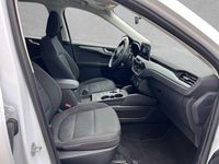 Gebraucht Ford Kuga Cool & Connect 222 PS (163 kW) 2021 Weiß SUV