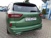 Neu Ford Kuga ST-Line 151 PS (111 kW) 2026 Grün SUV
