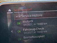 Gebraucht BMW 730 286 PS (210 kW) 2021 Grau Limousine