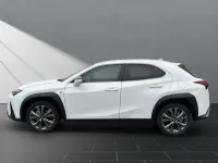 Begagnad Lexus UX 184 HK (135 kW) 2023 Vit SUV