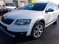 Gebraucht Skoda Octavia 184 PS (135 kW) 2014 Weiß Kleinwagen