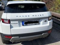 Gebraucht Land Rover Range Rover evoque Pure 150 PS (110 kW) 2017 Weiß SUV