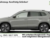 Neu Skoda Karoq Selection 150 PS (110 kW) 2025 Stahlgrau SUV