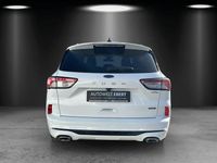 Gebraucht Ford Kuga ST-Line X 224 PS (164 kW) 2022 Weiß SUV