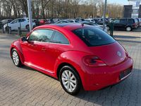 Gebraucht VW Beetle Design 105 PS (77 kW) 2013 Rot Kleinwagen