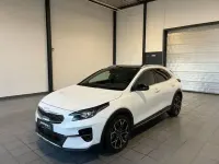 Usado Kia XCeed Black Xdition 204 CV (150 kW) 2022 Blanco SUV
