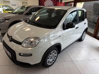 Gebraucht Fiat Panda 69 PS (50 kW) 2024 Weiß Limousine