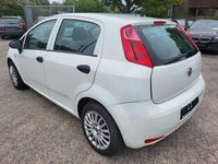 Gebraucht Fiat Punto Evo Pop 69 PS (50 kW) 2017 Weiß Kleinwagen