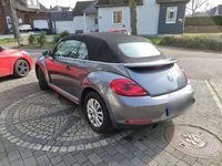 gebraucht VW Beetle 