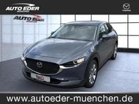 Gebraucht Mazda CX-30 Selection 150 PS (110 kW) 2020 Grau SUV