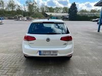 gebraucht VW Golf VII 1.6 TDI