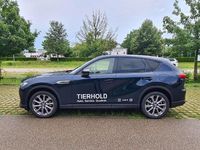 Gebraucht Mazda CX-60 Exclusive-Line 327 PS (240 kW) 2022 Deep crystal blue SUV