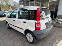 Gebraucht Fiat Panda 60 PS (44 kW) 2009 Weiß Kleinwagen
