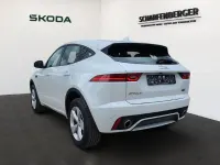 Gebraucht Jaguar E-Pace R-Dynamic 150 PS (110 kW) 2019 Weiß SUV