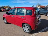 Neu Fiat Panda 69 PS (50 kW) 2025 Rot Limousine