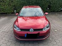 Gebraucht VW Golf VII Allstar 116 PS (85 kW) 2016 Rot Kombi