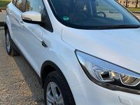 Gebraucht Ford Kuga Trend 150 PS (110 kW) 2017 Weiß SUV