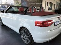 gebraucht Audi A3 Cabriolet Ambition