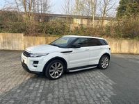 Gebraucht Land Rover Range Rover evoque 190 PS (139 kW) 2013 Weiß SUV