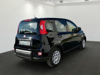 Gebraucht Fiat Panda 69 PS (50 kW) 2024 Schwarz Kleinwagen