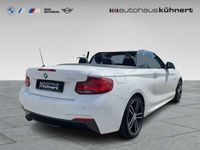 gebraucht BMW 220 i Cabrio ///M-Sport HiFi H-K ACC 1.Hand DAB