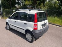 gebraucht Fiat Panda 4x4 New 1.2 8V Allrad Benzin Top