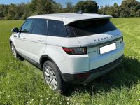 Gebraucht Land Rover Range Rover evoque Pure 150 PS (110 kW) 2018 Weiß SUV