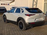 Neu Mazda CX-30 Homura-Line 140 PS (102 kW) 2026 Weiß SUV