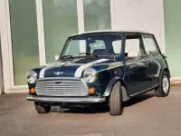 Gebraucht Austin Mini 61 PS (44 kW) 1991 Grün Kleinwagen