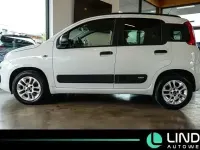 Gebraucht Fiat Panda Connect 110 PS (80 kW) 2017 Weiß Kleinwagen