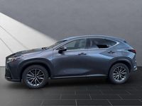 Gebraucht Lexus NX450h+ E-FOUR 309 PS (227 kW) 2023 Sonic grey SUV