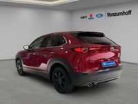 Gebraucht Mazda CX-30 Selection 122 PS (89 kW) 2019 Rot SUV