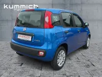 Neu Fiat Panda Icon 69 PS (50 kW) 2026 Blau Kleinwagen