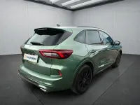 Używany Ford Kuga 151 KM (111 kW) 2024 Zielony SUV