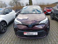 gebraucht Toyota C-HR 1,8 Hybrid Team D *Leder*Smartphone*Kamera