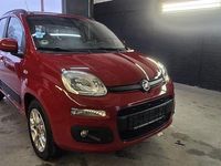 Gebraucht Fiat Panda Lounge 86 PS (63 kW) 2014 Rot Kleinwagen