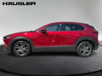 Gebraucht Mazda CX-30 Selection 186 PS (136 kW) 2023 Rot SUV
