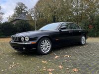 gebraucht Jaguar XJ8 3.5 Liter - TÜV Neu