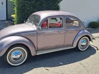 Gebraucht VW Käfer 30 PS (22 kW) 1955 Limousine