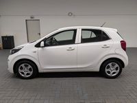 Gebraucht Kia Picanto 67 PS (49 kW) 2019 Weiß (weiss) Kleinwagen