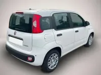 Neu Fiat Panda Pop 65 PS (47 kW) 2026 Manufacturer Kleinwagen
