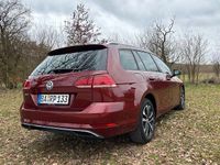 Gebraucht VW Golf VII Highline 150 PS (110 kW) 2019 Rot Kombi