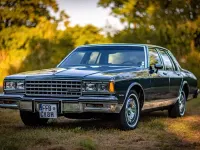 Gebraucht Chevrolet Caprice 140 PS (102 kW) 1981 Grün Limousine