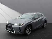 Gebraucht Lexus UX 250h 184 PS (135 kW) 2021 Grau SUV