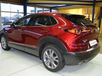 Gebraucht Mazda CX-30 Selection 122 PS (89 kW) 2019 Rot SUV