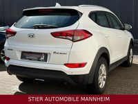 Gebraucht Hyundai Tucson 132 PS (97 kW) 2018 Weiß SUV